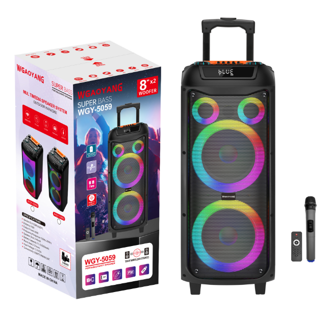 China 8 quot Woofer Portable Party Speaker with LED Lighting and Bluetooth Connectivity from Temeisheng factory