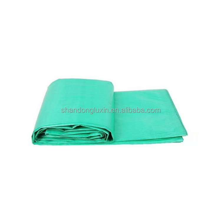 Printed Double Faced Pe Tarpaulin Trucking Covering Tarpaulin Roll Pvc Pe Tarpaulin