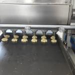 Professional Chocolate Chip Cookies Making Machine for different shapes