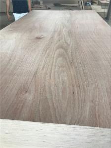 China Okoume Face Back Boats BS1088 Gaboon Marine Ply factory