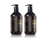 Danddruff Sulfate Free Ginger Hair Shampoo , Natural Vegan Hair Shampoo Argan
