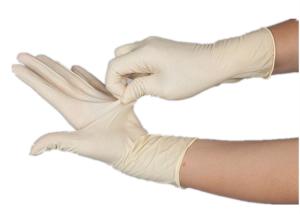 China White Disposable Medical Latex Gloves Non Sterile Pvc Coated Laboratory Use factory