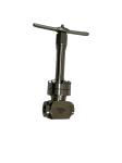 Stain Steel BW-SW Connection Cryogenic High Pressure Globe Valve PN10-32Mpa