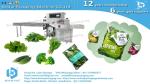 Bestar horizontal packing machine for vegetables