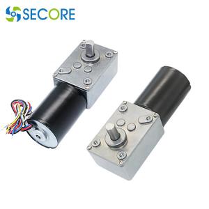 China 30RPM 4.55W Brushless DC Gear Motor ROHS Self Locking Worm Gear Motor factory
