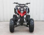 Hand Brake Operation Automatic Sport Atv 125cc Utility Vehicle Atv 101kg
