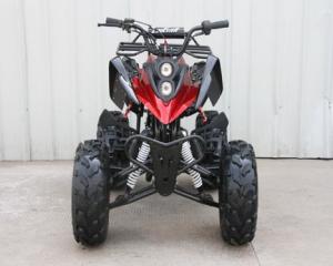 China Mountain Road Atv Utility Vehicles 125cc 4 Stroke Single Cylinder Hand Brake Operation factory