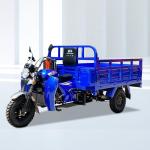 50*100 Chassis Cargo Vehicle Tricycle for Brazil and Algeria Customer Requiremen