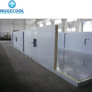 China Versatile Storage Solutions with Adjustable Shelves Freezer Cellar Room and High Density factory