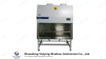 SS304 Class100 BSC Biosafety Cabinet For Chemotherapy