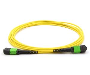China MTP 24 Strand Single Mode Fiber Cable , Male To Female Optical Breakout Cable factory