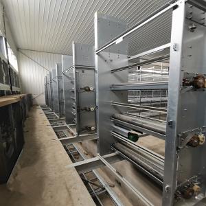 China Hot Dipped Galvanized 6mm Manure Removal Equipment Siemens Motor factory