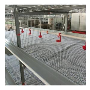 China Hot Galvanized Automatic H Type Chicken Cage Layer Poultry For Farming Equipment factory
