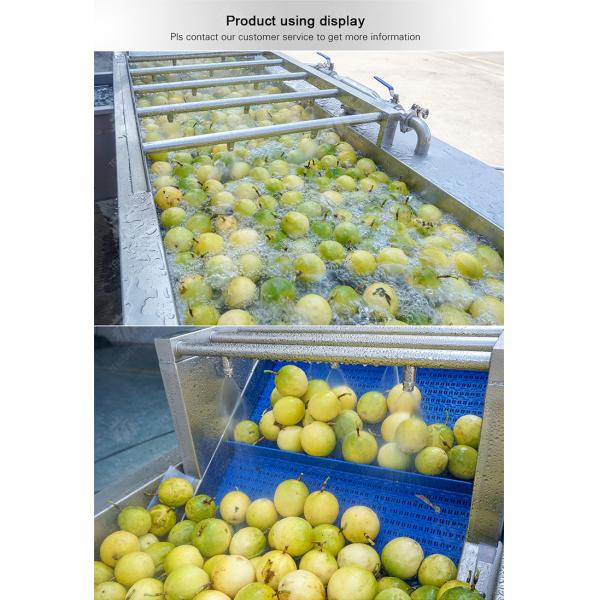 Silvery Personalization Passion Fruit And Vegetable Processing Line Fruit Cleansing Drying
