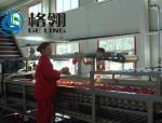 Customized 316l Automatic Tomato Paste Production Line 1-100ton Juice Production