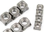 M3 M4 M6 M8 M10 Weld Nut Stainless Steel SS304 Weld Hexagon Nut Electropolished