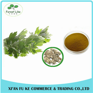Chinese Herb Extract Mugwort Leaf Extract 5:1- 20:1