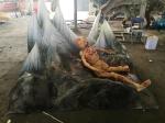 Customized Sponge Haunted House Props Create Unforgettable Experience