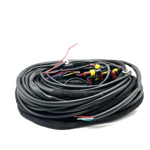 China 56 Pin ECU Wire Harness Multipoint CNG LPG Fuel Injection Connection Wiring Harness factory