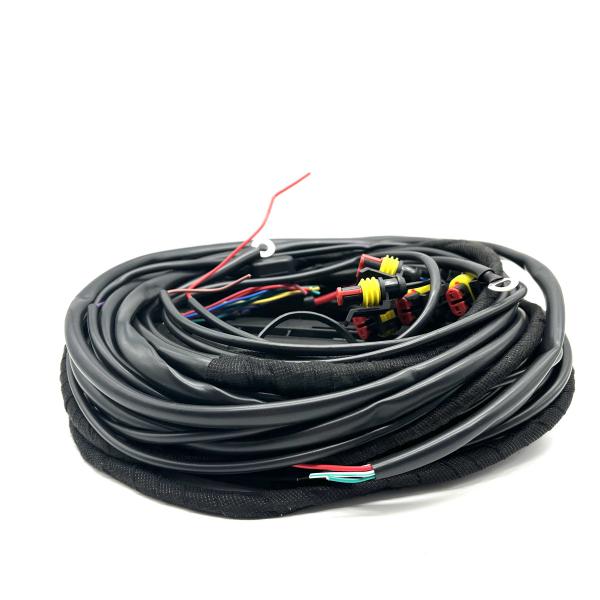 56 Pin ECU Wire Harness Multipoint CNG LPG Fuel Injection Connection Wiring