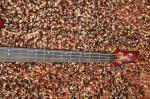 4 string bass guitar Cort GENE SIMMONS AXE Guitar