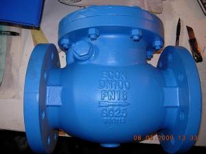 China BS check valve flanged ends factory