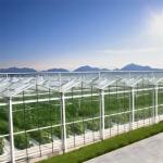 Hydroponic System Vegetable Venlo Glass Greenhouse Fully Automated Ventilation