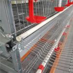 Labor Saving Husbandry Equipments Large Scale Modern Farm Quail Cage