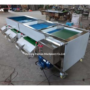 Blueberry sorting machine, Blueberry grading machine, blueberry classification