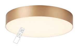 China Modern LED ceiling lamp powered by Tuya Smart(LD-BGSR80-800) factory