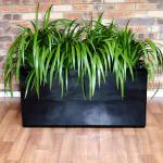 Wholesale Fiberglass Resin Flower Planters Modern Style FRP Plant Pots For Decor