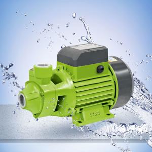 China 60L/Min 1 HP Peripheral Household Water Pumps，Cast iron for the pump head is anti-rust factory