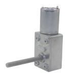 Bldc Worm Gear Dc Motor 24V 12v Brushless High Torque Electric