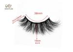 Reusable 10 Times Wispy 15MM 3D Volume Lashes