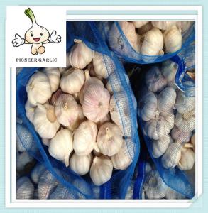 China Good Quality Chinese Fresh Pure White Garlic 5.0CM 2016 fresh white garlic factory