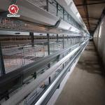 H Type Layer Chicken Laying Cage Automatic Poultry Equipment Hens Battery Cage