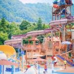 Combination Slide Aqua Park Design Water Play Equipment Adult Large Swimming
