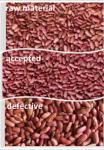 Hons Brand High Performance Bean CCD Camera Color Sorter Machine