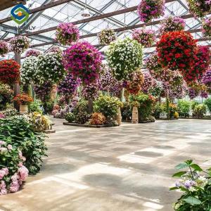 China Stronger Structure Flower Greenhouse Waterproofing Weather Resistant factory