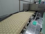 Working Width 400mm-1500mm Bakery Diesel Oven / Bakery Gas Oven