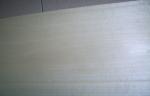 0.5 mm Crown Cut White Birch Veneer With Light Yellow Grain