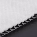 Get Your Industrial Geocomposite Drain 3D Composite Drainage Geonet at a