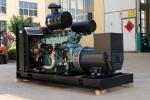 100% Pure Copper Brushless Alternator 200KW Natural Gas Generator Set for