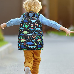 Boys School Backpack Dinosaur Backpack With Lunch Box Pencil Case Three Piece Backpack Set
