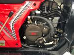 250cc DAYANG 12V Durable 3 Wheel Motorcycle for Zambia 2022 Fast Food Delivery