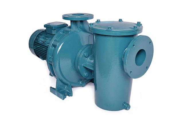 Iron Casting Jet Electric Pump Threaded Connection For Swimming Pool Water