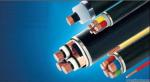 0.6/1KV Copper core PVC insulated PVC sheathed power cable (YJV22)