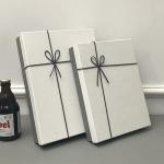 Luxury Lid And Base Cardboard Gift Packaging Box With Bowknot