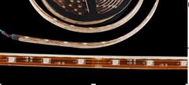 China Best Led Lighting Factory In Ruian 12V/24V Led Strip Light SMD3528 5050 factory