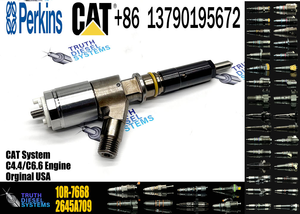 Engine Fuel Injector 2645A747 10R-7671 10R-7672 2645A718 10R-7673 10R-7676 2645A734 10R-7674 10R-7668